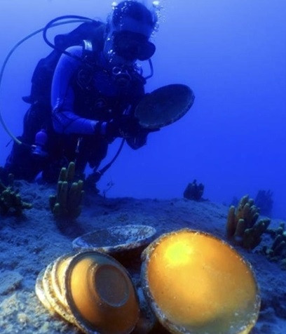 Các nhà nghiên cứu suy đoán con tàu trên có thể chờ đầy hàng hóa là những món đồ gốm sứ trên đường đến Anatolia, Hy Lạp hoặc Italy và gặp phải cơn bão lớn nên bị chìm ở phía bắc biển Aegea vào khoảng 1.500 năm trước.