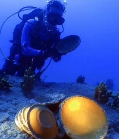 Các nhà nghiên cứu suy đoán con tàu trên có thể chờ đầy hàng hóa là những món đồ gốm sứ trên đường đến Anatolia, Hy Lạp hoặc Italy và gặp phải cơn bão lớn nên bị chìm ở phía bắc biển Aegea vào khoảng 1.500 năm trước.