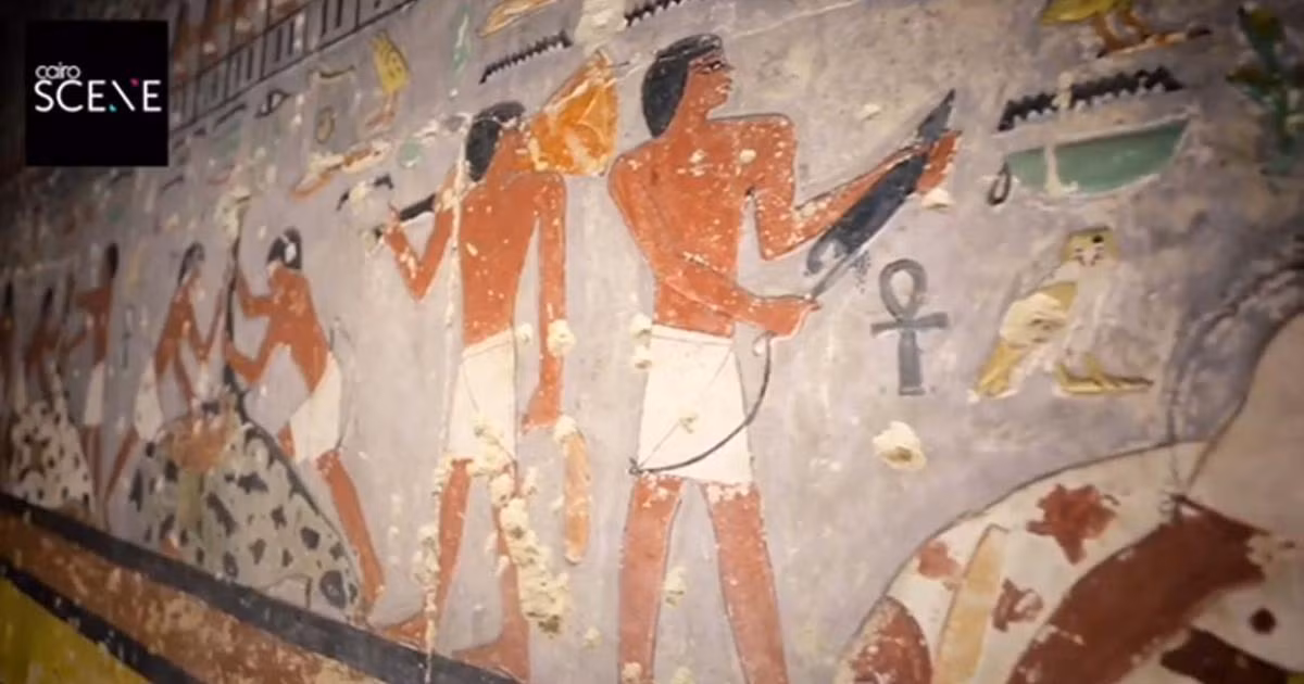 Thông qua các hiện vật được tìm thấy trong ngôi mộ, các chuyên gia xác định nó thuộc về một viên chức tên là Seneb-Neb-Af và vợ ông là Idet, một nữ tư tế của nữ thần Hathor.