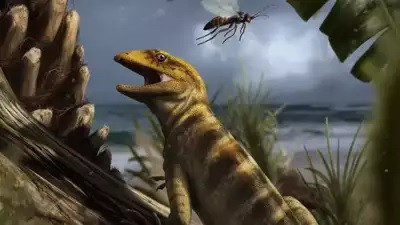 Tên gọi này xuất phát từ việc loài bò sát này có thân hình khiêm tốn nhưng sở hữu một hàm răng cực kỳ sắc nhọn, có thể cắt đôi con mồi một cách dễ dàng để thưởng thức bữa ăn. Ảnh: Timesofindia.