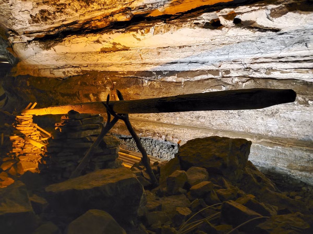 Ngày nay, hang Mammoth là địa điểm du lịch nổi tiếng nước Mỹ, thu hút hơn 500.000 du khách ghé thăm mỗi năm. Ảnh: NPS.