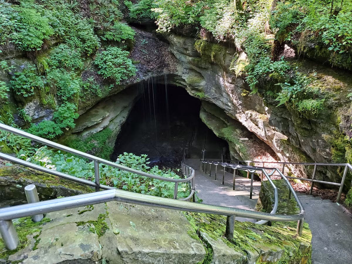 Vào đầu thế kỷ 19, hang Mammoth trở thành một điểm thu hút khách du lịch nổi tiếng nước Mỹ cũng như thế giới với những nhũ đá ấn tượng và các không gian lớn bên trong hang động giống như nhà thờ. Ảnh: NPS.