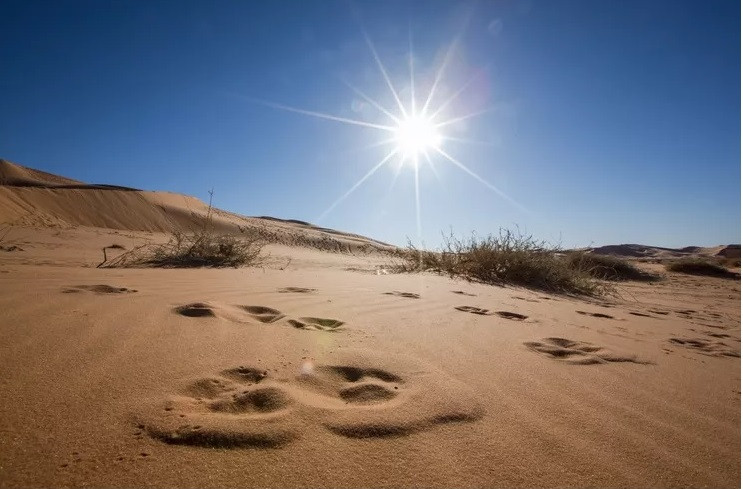 Theo nghiên cứu của các chuyên gia, trong 6 giờ, các sa mạc trên thế giới nhận được nhiều năng lượng từ Mặt Trời hơn lượng năng lượng con người tiêu thụ trong 1 năm. Ảnh: Samere Fahim Photography / Getty Images.