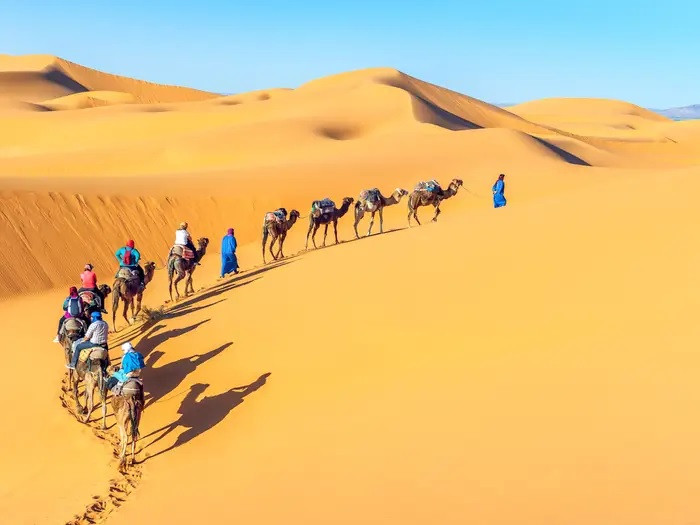 Liên Hợp Quốc cho hay tình trạng sa mạc hóa đang đe dọa cuộc sống của hơn 1 tỷ người ở 110 quốc gia và vùng lãnh thổ. Ảnh: Vixit/Shutterstock.