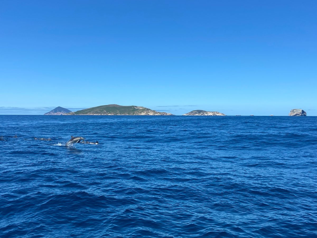 Một hướng dẫn viên du lịch địa phương cho hay hòn đảo Skull Rock lớn tới mức có thể nhấn chìm cả nhà hát Opera Sydney. Ảnh: Atlasobscura.