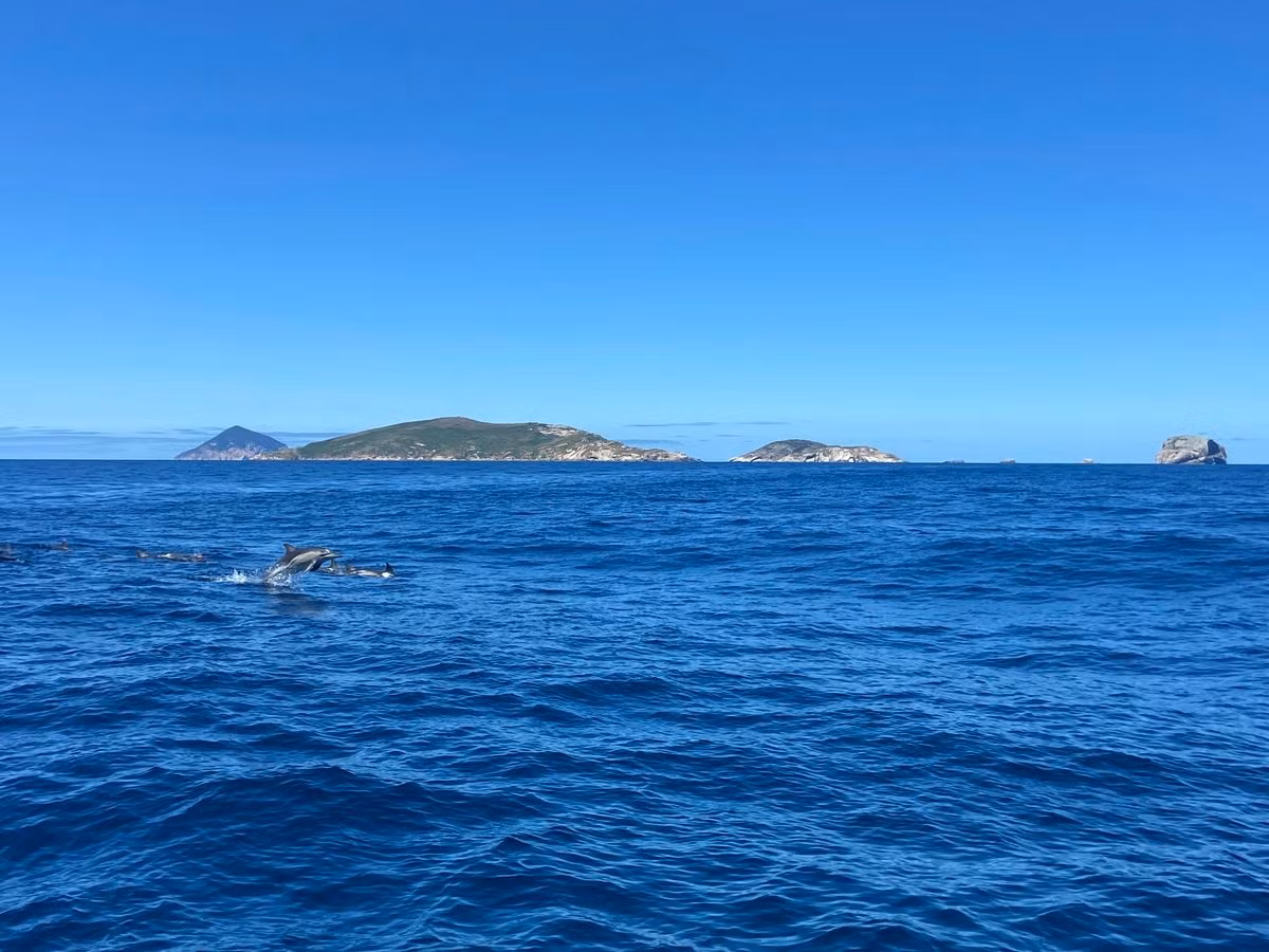 Một hướng dẫn viên du lịch địa phương cho hay hòn đảo Skull Rock lớn tới mức có thể nhấn chìm cả nhà hát Opera Sydney. Ảnh: Atlasobscura.
