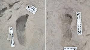 Con đường mòn - nơi phát hiện các dấu chân tại Koobi Fora - dài khoảng 8m và bao gồm một đường mòn gồm một số dấu chân do một cá thể tạo ra và 3 dấu chân khác do những cá thể khác để lại. Một con cò marabou khổng lồ đã tuyệt chủng (Leptoptilos falconeri) cũng đã theo dấu qua lớp bùn ướt, được chôn vùi và bảo quản.