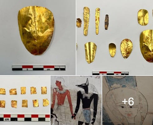 "Số lưỡi vàng được tìm thấy ở đây rất nhiều. Điều này thật thú vị. Những xác ướp này có thể thuộc về những người ưu tú có liên quan đến đền thờ và các giáo phái thờ phụng động vật phát triển mạnh trong khu vực", Salima Ikram - giáo sư Ai Cập học tại Đại học Hoa Kỳ ở Cairo, cho biết. Ảnh: Ministry of Tourism and Antiquities.