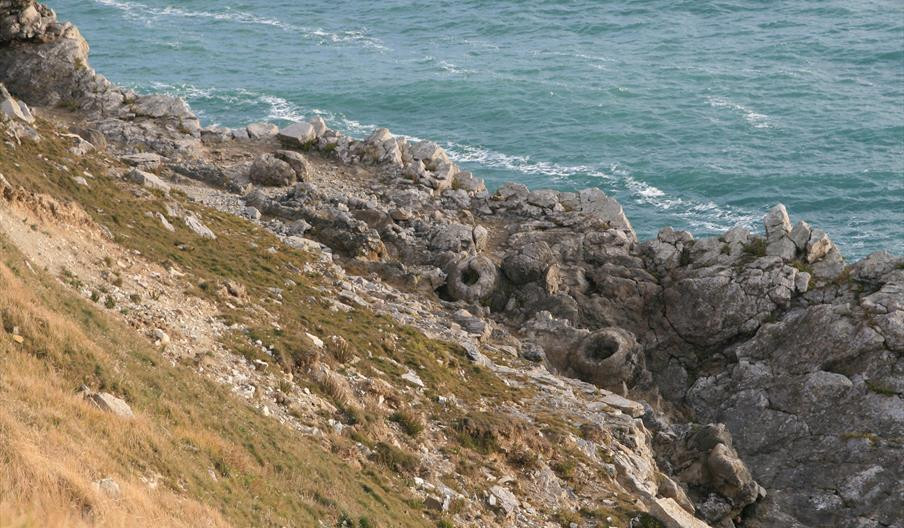 Ian West - nhà địa chất và nhà khoa học thỉnh giảng tại Đại học Southampton ở Vương quốc Anh, cho biết thực vật có hoa vẫn chưa tiến hóa vào thời điểm này trong lịch sử Trái đất. Thế nhưng, khủng long có thể đã từng lang thang trong rừng. Ảnh: jurassiccoast.