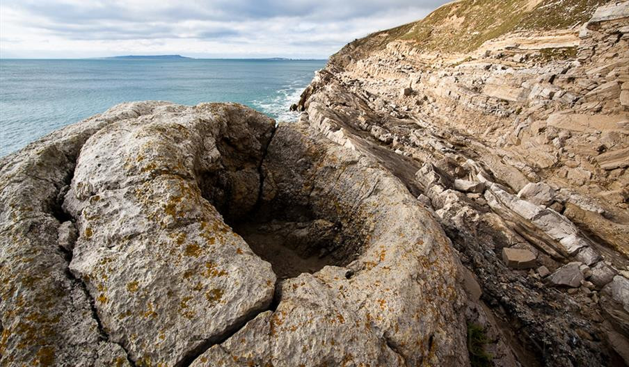 Khu rừng hóa thạch 145 triệu tuổi phát triển vào cuối kỷ Jura, vào thời điểm được gọi là ranh giới Kỷ Jura - Kỷ Phấn Trắng. Trong ranh giới này, nhiệt độ giảm và mực nước biển giảm, để lộ vùng đất mới và hình thành đồng bằng ven biển nơi sự sống mới, bao gồm cả cây cối, có thể phát triển mạnh. Ảnh: jurassiccoast.