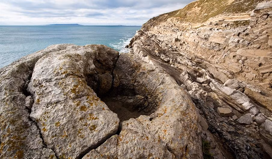 Khu rừng hóa thạch 145 triệu tuổi phát triển vào cuối kỷ Jura, vào thời điểm được gọi là ranh giới Kỷ Jura - Kỷ Phấn Trắng. Trong ranh giới này, nhiệt độ giảm và mực nước biển giảm, để lộ vùng đất mới và hình thành đồng bằng ven biển nơi sự sống mới, bao gồm cả cây cối, có thể phát triển mạnh. Ảnh: jurassiccoast.