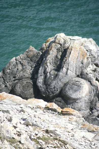 Các gờ tảo ở Rừng Hóa thạch nằm ở giữa vách đá hướng ra eo biển Manche. Hầu hết các phần gỗ còn lại bên trong gờ đều thuộc về một loại cây bách cổ đại có tên là Protocupressinoxylon và những phần còn lại này vẫn còn bám rễ trong đất thời tiền sử. Với khám phá này, Rừng hóa thạch đã cung cấp thông tin về môi trường cổ đại mà khủng long sinh sống vào cuối kỷ Jura. Ảnh: dorsetcamper.