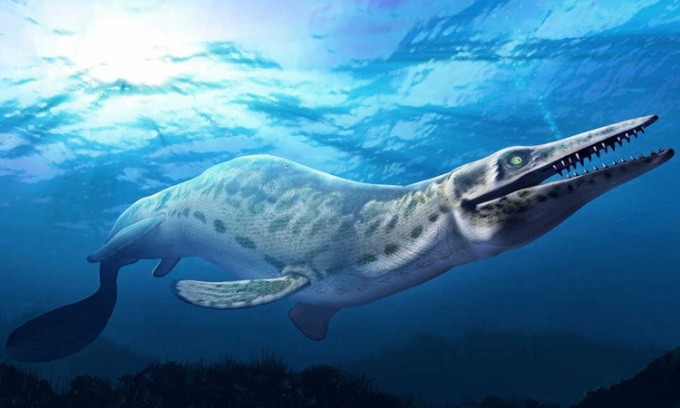 Nhà cổ sinh vật học Michael Polcyn ở Đại học Utrecht đã công bố nghiên cứu toàn diện nhất từ trước đến nay về quá trình tiến hóa ban đầu, sinh thái và tập tính kiếm mồi của loài thương long. Với sự hỗ trợ của công nghệ chụp ảnh tiên tiến, phát hiện của ông Polcyn cung cấp nhiều hiểu biết mới về nguồn gốc, mối quan hệ và hành vi của loài thằn lằn cổ đại khổng lồ. Ảnh: NRP.