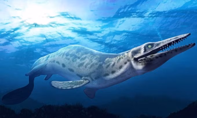 Nhà cổ sinh vật học Michael Polcyn ở Đại học Utrecht đã công bố nghiên cứu toàn diện nhất từ trước đến nay về quá trình tiến hóa ban đầu, sinh thái và tập tính kiếm mồi của loài thương long. Với sự hỗ trợ của công nghệ chụp ảnh tiên tiến, phát hiện của ông Polcyn cung cấp nhiều hiểu biết mới về nguồn gốc, mối quan hệ và hành vi của loài thằn lằn cổ đại khổng lồ. Ảnh: NRP.