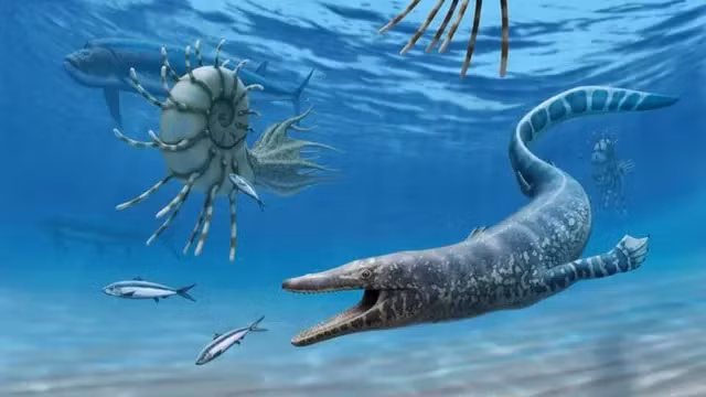  Thương long, loài bò sát biển tuyệt chủng thống trị những đại dương trên Trái Đất vào cuối kỷ Phấn Trắng, đã làm các nhà khoa học say mê từ khi chúng được phát hiện năm 1766 gần Maastricht, Hà Lan. Loài thằn lằn đáng sợ này là biểu tượng nổi tiếng của quá trình tiến hóa vĩ mô, cho thấy sự xuất hiện của một nhóm động vật hoàn toàn mới. Ảnh: Andrey Atuchin.