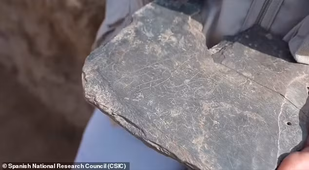 Các chuyên gia cho hay sẽ nghiên cứu sâu hơn hiện vật này để giải mã bí ẩn về Tartessos - nền văn minh được cho là biến mất bí ẩn vào thế kỷ 6 trước Công nguyên.