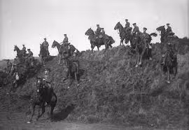 Hơn 8 triệu con ngựa chết trong Thế chiến 1.