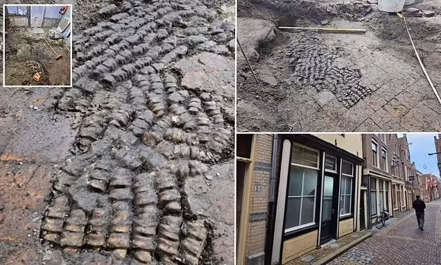 Các chuyên gia cho biết kết quả kiểm tra cho thấy ngôi nhà - nơi phát hiện sàn xương - được xây dựng vào năm 1609.