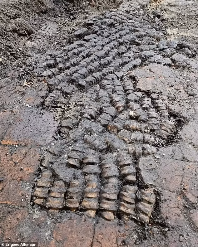 Các nhà khảo cổ đã có khám phá "lạ", thậm chí rùng rợn khi khai quật một tòa nhà ở Achterdam, một khu đèn đỏ ở thành phố Alkmaar của Hà Lan. Đó là một sàn xương được sắp xếp xỉ tỉ.