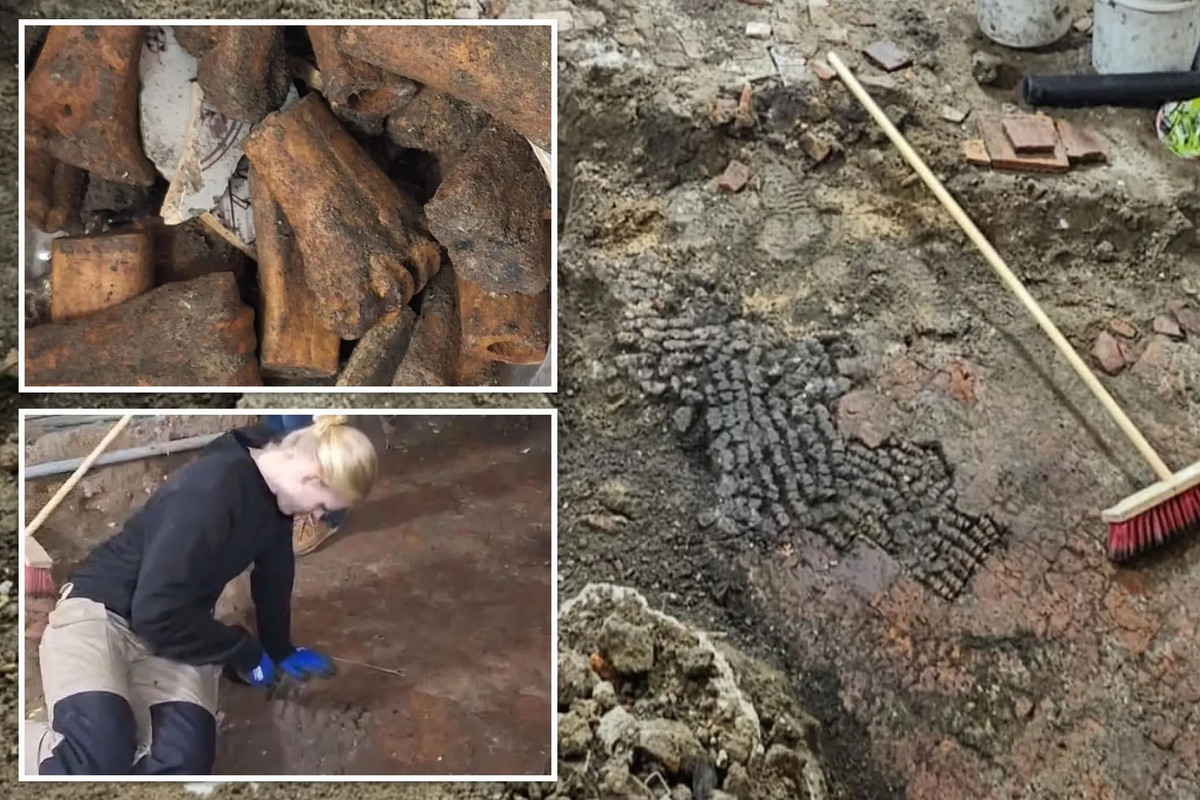 Nancy de Jong, nhà khảo cổ học của thành phố Alkmaar, cho hay ngôi nhà được xây dựng vào năm 1609 nhưng có khả năng nền móng và tầng dưới của sàn - nơi tìm thấy xương động vật - có niên đại cũ hơn nhiều.