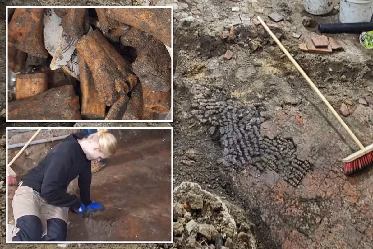 Nancy de Jong, nhà khảo cổ học của thành phố Alkmaar, cho hay ngôi nhà được xây dựng vào năm 1609 nhưng có khả năng nền móng và tầng dưới của sàn - nơi tìm thấy xương động vật - có niên đại cũ hơn nhiều.