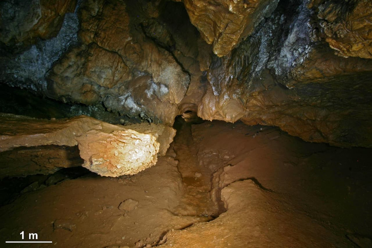 Hang động Maltravieso ở Tây Ban Nha lần đầu tiên được phát hiện vào năm 1951. Kể từ đó, giới chuyên gia đã thực hiện các nghiên cứu nhằm giải mã những bí ẩn về những bức vẽ trên các bức tường của hang động.