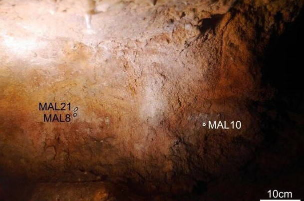 Phát hiện mới có khả năng thay đổi hiểu biết của chúng ta về hành vi của người Neanderthal, khả năng nhận thức của họ và mối quan hệ của họ với quá trình tiến hóa của loài người.