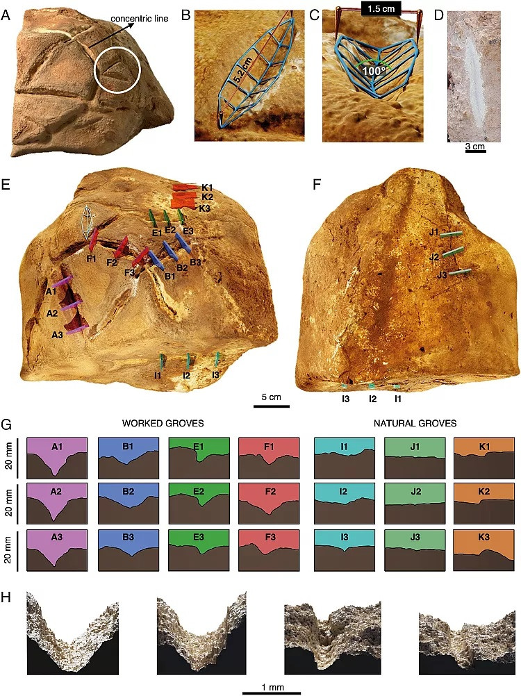 Việc xác định tảng đá chạm khắc các rãnh sâu giống mai rùa cho thấy hiện vật này có thể được sử dụng trong các nghi lễ vào khoảng 33.000 - 48.000 năm trước. Khi đó, những người săn bắn hái lượm đã bắt đầu sử dụng những công cụ bằng đá mới vào trong cuộc sống.