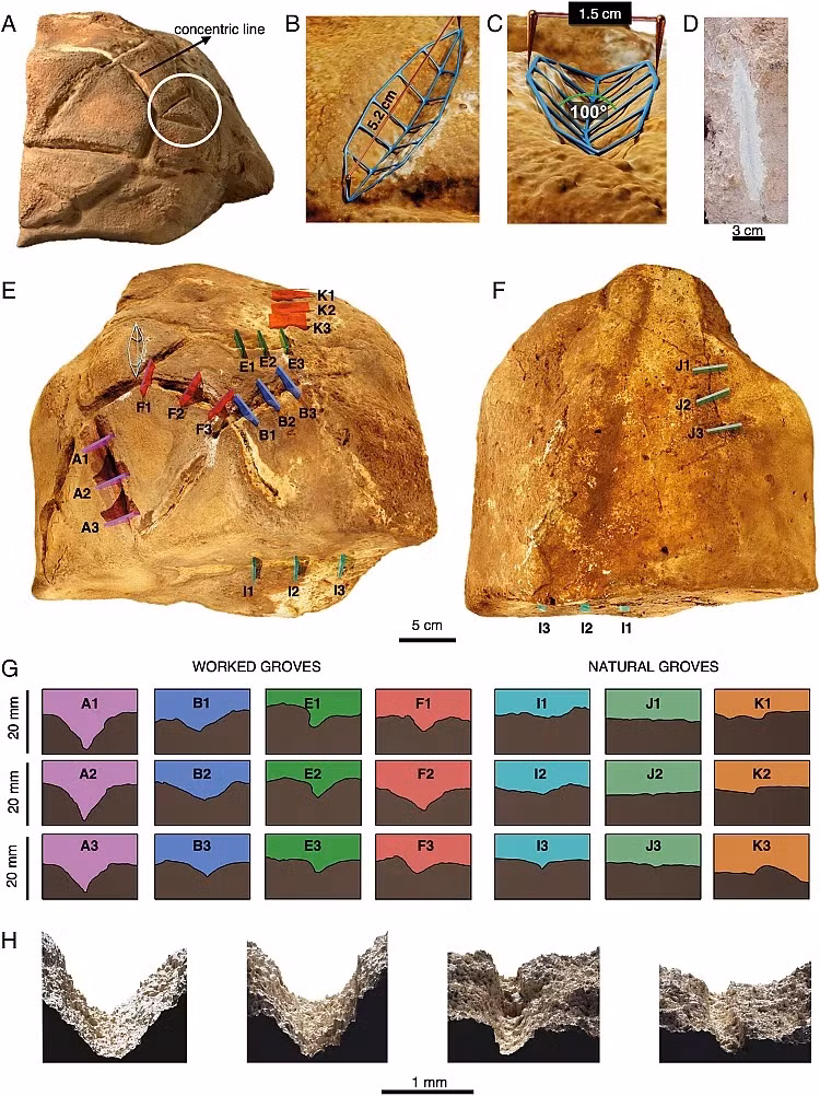 Việc xác định tảng đá chạm khắc các rãnh sâu giống mai rùa cho thấy hiện vật này có thể được sử dụng trong các nghi lễ vào khoảng 33.000 - 48.000 năm trước. Khi đó, những người săn bắn hái lượm đã bắt đầu sử dụng những công cụ bằng đá mới vào trong cuộc sống.