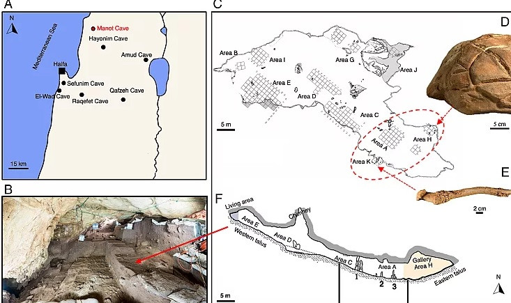 Mãi tới năm 2013, nhóm của ông Hershkovitz mới tìm thấy tảng đá chạm khắc hình giống mai rùa ở sâu bên trong hang động.