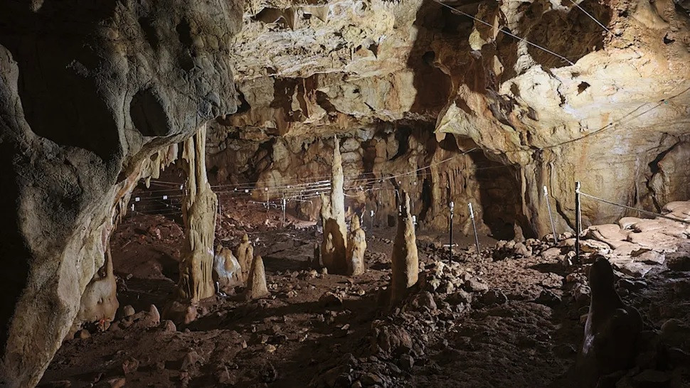 Trong trường hợp đó, nhà nghiên cứu Hershkovitz cho rằng có thể các phần của vỏ, được gọi là "scutes", đại diện cho những nhóm người đặc biệt đã hòa nhập vào xã hội cổ đại.