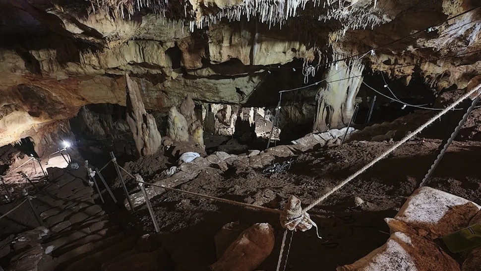 Ông Hershkovitz đã chỉ đạo cuộc khai quật hang động - nơi tìm thấy tảng đá chạm khắc hình giống mai rùa từ năm 2010. Trước đó, hang Manot được các công nhân xây dựng tình cờ phát hiện vào năm 2008.