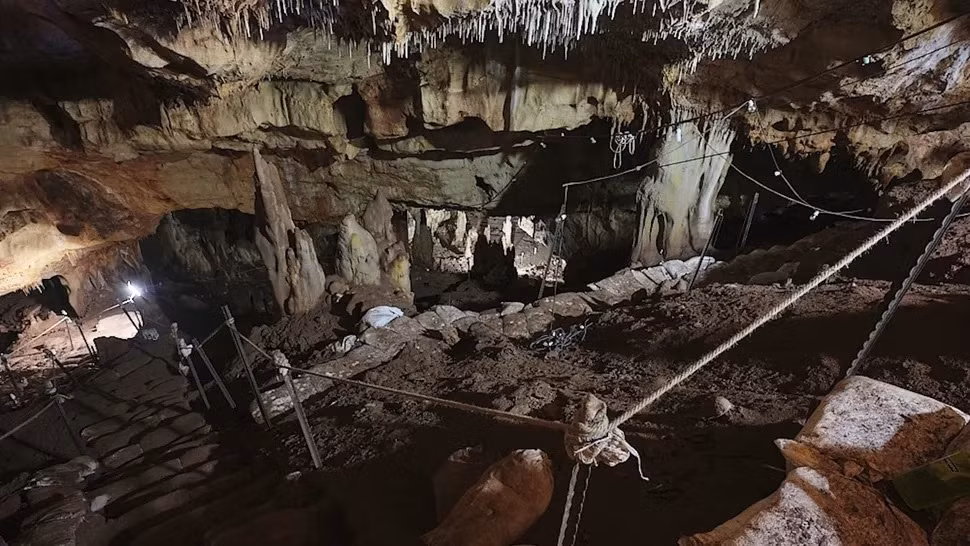 Ông Hershkovitz đã chỉ đạo cuộc khai quật hang động - nơi tìm thấy tảng đá chạm khắc hình giống mai rùa từ năm 2010. Trước đó, hang Manot được các công nhân xây dựng tình cờ phát hiện vào năm 2008.