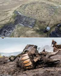 Đồng tác giả nghiên cứu Gino Caspari - nhà khảo cổ học tại Viện Địa nhân học Max Planck, cho biết khu mộ là nơi chôn cất bậc tinh hoa trong xã hội. Ban đầu, nhóm khảo cổ tìm thấy 18 con ngựa. Tuy nhiên, sau đó, họ phát hiện thêm xác của hàng chục con ngựa khác.