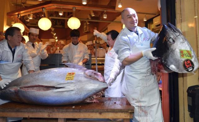 Loai ca dat nhat nhi the gioi nay sap bi tuyet chung vi ly do lang xet