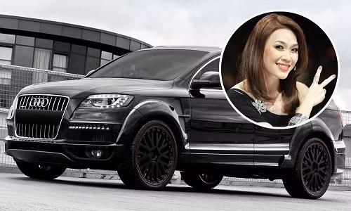 Mỹ Tâm cũng sở hữu nhiều xế hộp đắt giá như Mitsubishi Lancer, Audi Q7. Ảnh: Tinmoi.