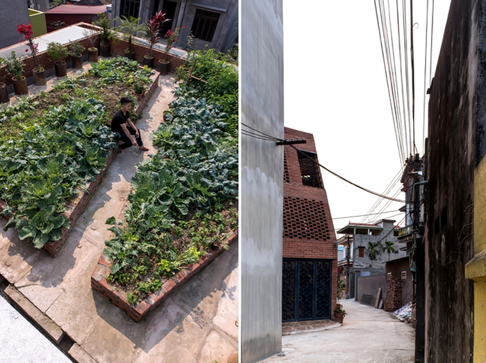  Ngôi nhà có cấu trúc giống như một cái hang. Tổng thể được tạo nên bởi hai lớp tường bằng gạch nung chạy khép kín qua một nút giao nhau, xen kẽ giữa chúng là các mảng cây xanh, rau, củ, quả...