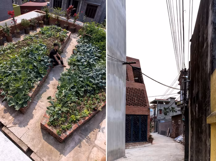  Ngôi nhà có cấu trúc giống như một cái hang. Tổng thể được tạo nên bởi hai lớp tường bằng gạch nung chạy khép kín qua một nút giao nhau, xen kẽ giữa chúng là các mảng cây xanh, rau, củ, quả...