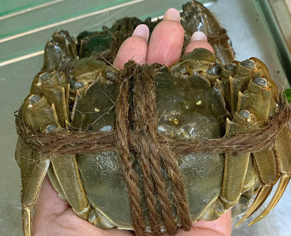 Ngoài ra, dù giá hớn 1 triệu đồng/kg nhưng cua lông Hong Kong vẫn được nhà giàu Việt săn lùng. Ảnh: Facebook.