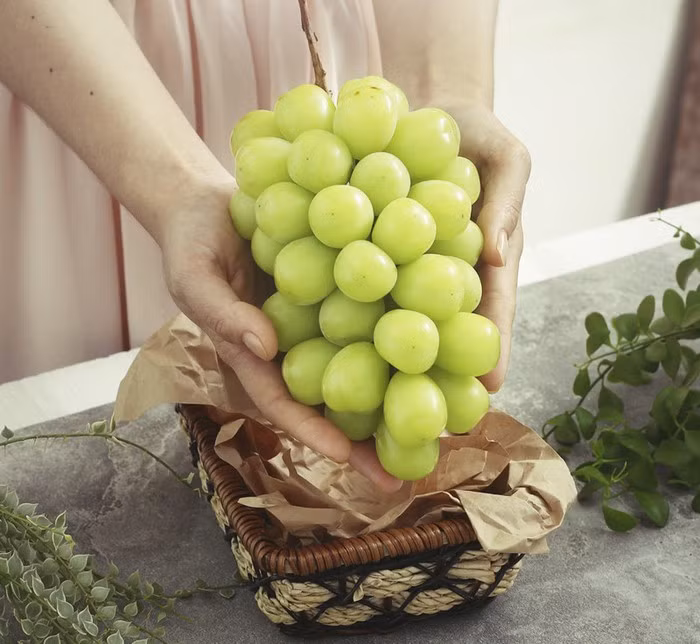 Những chùm nho mẫu đơn Nhật Bản tròn đều, bóng đẹp, ăn giòn, ngọt có mùi thơm đặc trưng là loại quả hút khách trong dịp Tết. Ảnh: PhunuVN.