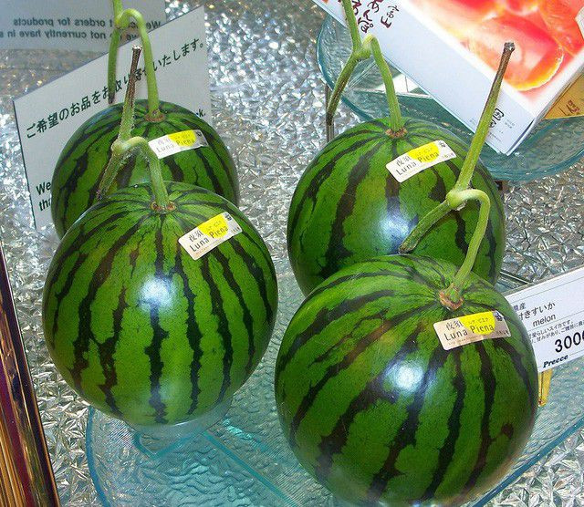 Dưa hấu Luna Piena Nhật Bản có giá khoảng 400-500.000 đồng/kg, tính ra mỗi quả khoảng 1,2-2 triệu đồng. Ảnh: Vinfruits.