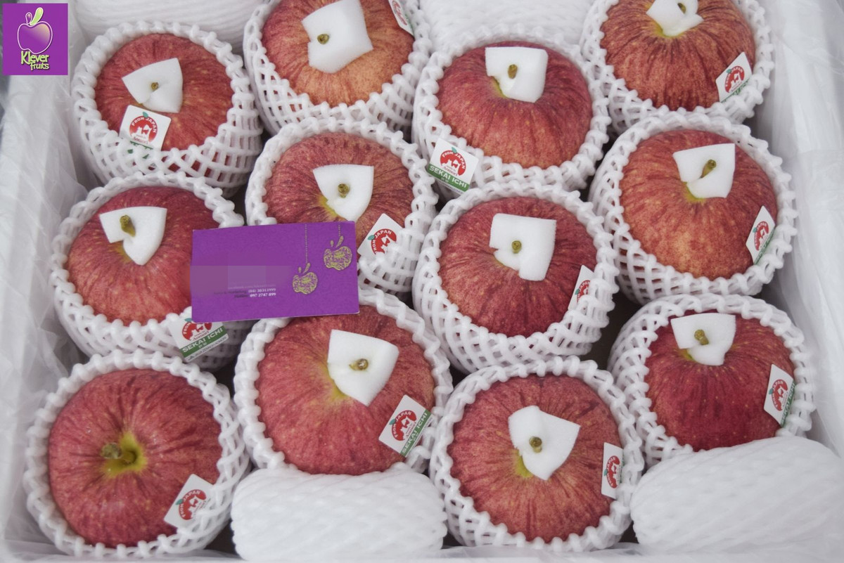 Táo Sekai-ichi nặng trung bình 500g/trái, có quả lên tới 800g. Vỏ táo căng bóng màu đỏ sậm, vị giòn ngọt và thơm đậm đà. Ảnh: Kleverfruits.