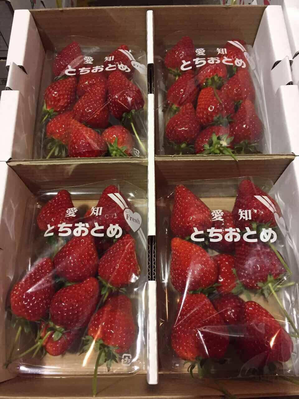 Dâu tây đỏ Nhật mọng nước, hương thơm mùi kẹo ngọt cũng được nhiều gia đình chọn ăn Tết dù giá 550.000 đồng/hộp 300g. Ảnh: Vinfruits.