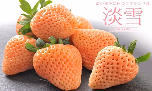 Trai cay Nhat Ban sieu dat do hut khach nha giau Viet dip Tet