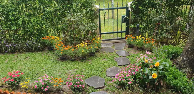 Khoảng sân vườn xanh mướt mắt phía ngoài căn biệt thự. Ảnh: Tintuconline.