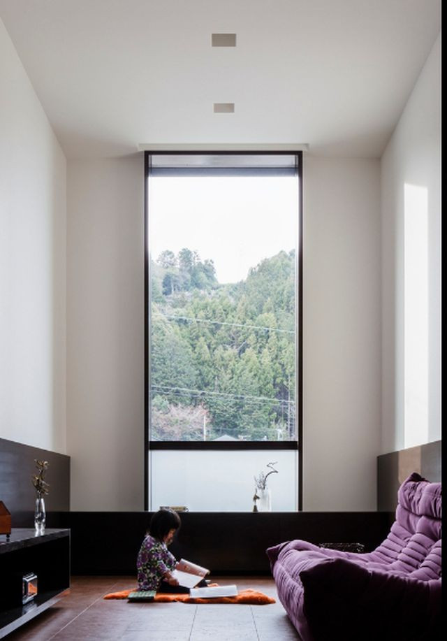 Lối vào nhà được tách đôi và bố trí đối xứng nhau ở hai bên trong khi phần mặt tiền lại bịt kín.