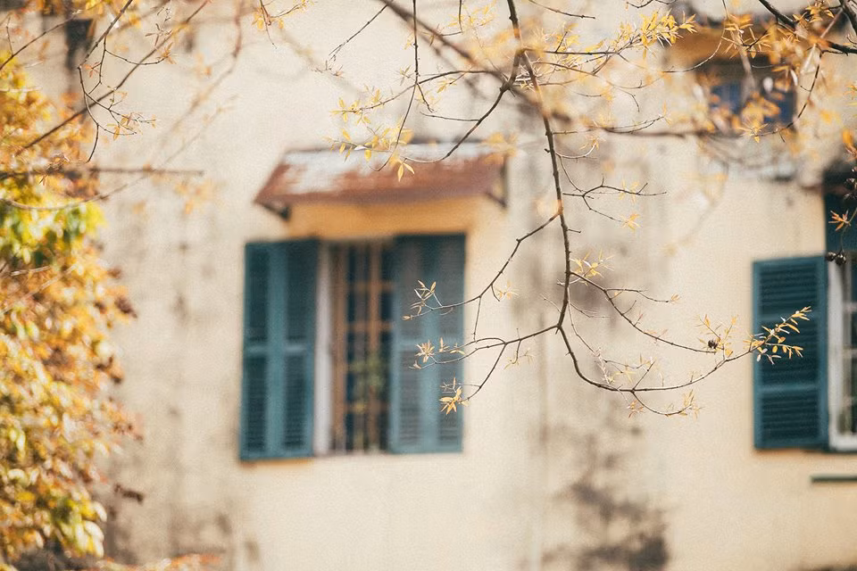 Cây trổ lá vàng càng tôn nét đẹp nhuốm màu thời gian của một căn biệt thự cổ ở Hà Nội. Ảnh: FB Hà Nội.