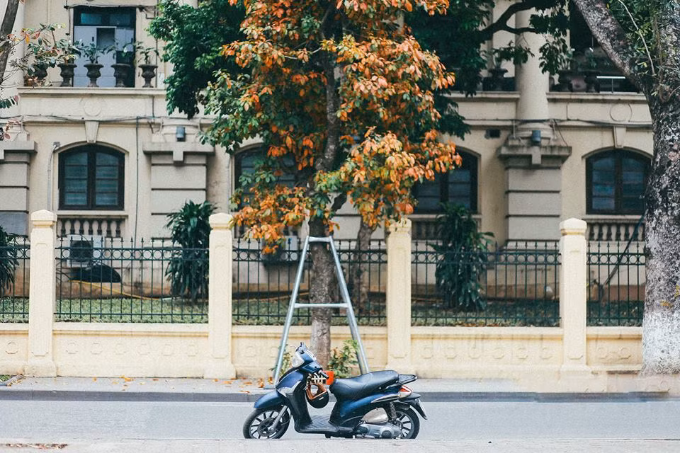 Sắc vàng của lá như góp phần làm tăng nét đẹp cổ kính của ngôi nhà Hà Nội. Ảnh: FB Hà Nội.