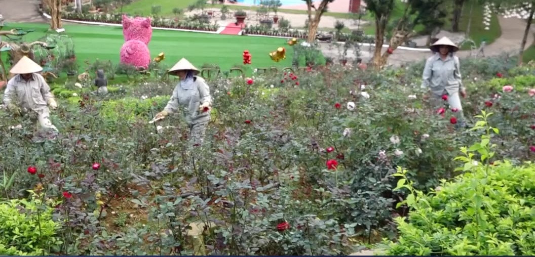 Để chăm sóc vườn hoa khổng lồ này, mỗi ngày có hàng chục công nhân vun trồng. Ảnh: TTXVn.