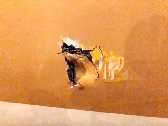 Xe thang dam thung vo may bay Boeing 787 tai Tan Son Nhat